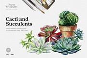 Cacti & Succulents, a Decorative Illustration by Anna Myslivets Art (Thumbnail 1 of 9)