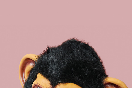monkey speaks in a mobile phone, stories format, a Wallpaper Photo by Nito