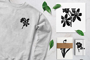 Vintage botanica, an Object Graphic by Mii Lab (Thumbnail 8 of 8)