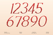 CS Granvile Disco, a Serif Font by Craft Supply Co. (Thumbnail 5 of 8)