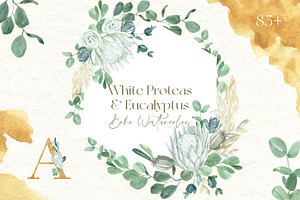 White Proteas And Eucalyptus Boho