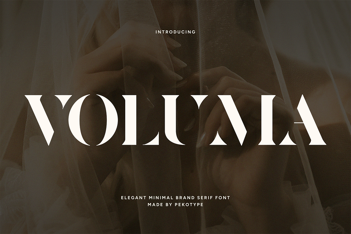 VOLUMA - Simple Elegant Display Font, a Serif Font by Pekotype (Photo 1 of 11)