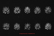 10 Bundle Dark Art Aloe Vera Cactus, an Illustration by Morspective (Thumbnail 6 of 7)