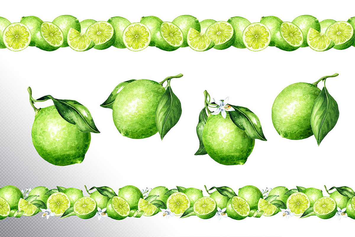 Lime citrus. Watercolor collection, a Food Illustration by Daria Ustiugova (Photo 19 of 21)