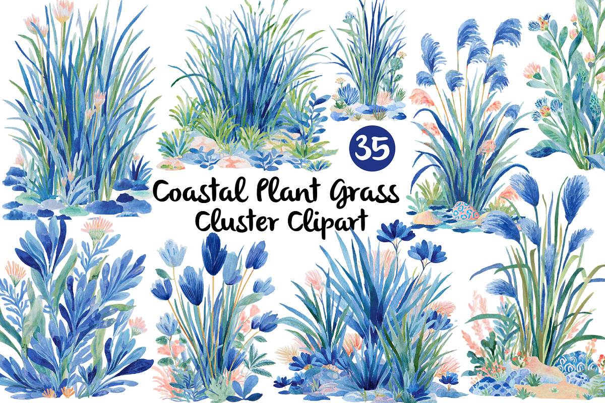 Coastal Plant Grass Cluster Clipart, an Illustration by Daily.Designs (Photo 1 of 3)