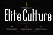 Elite Culture, a Serif Font by Wow Magic (Thumbnail 5 of 5)