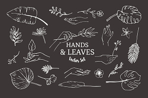 Hands, Leaves Vector Illustrations