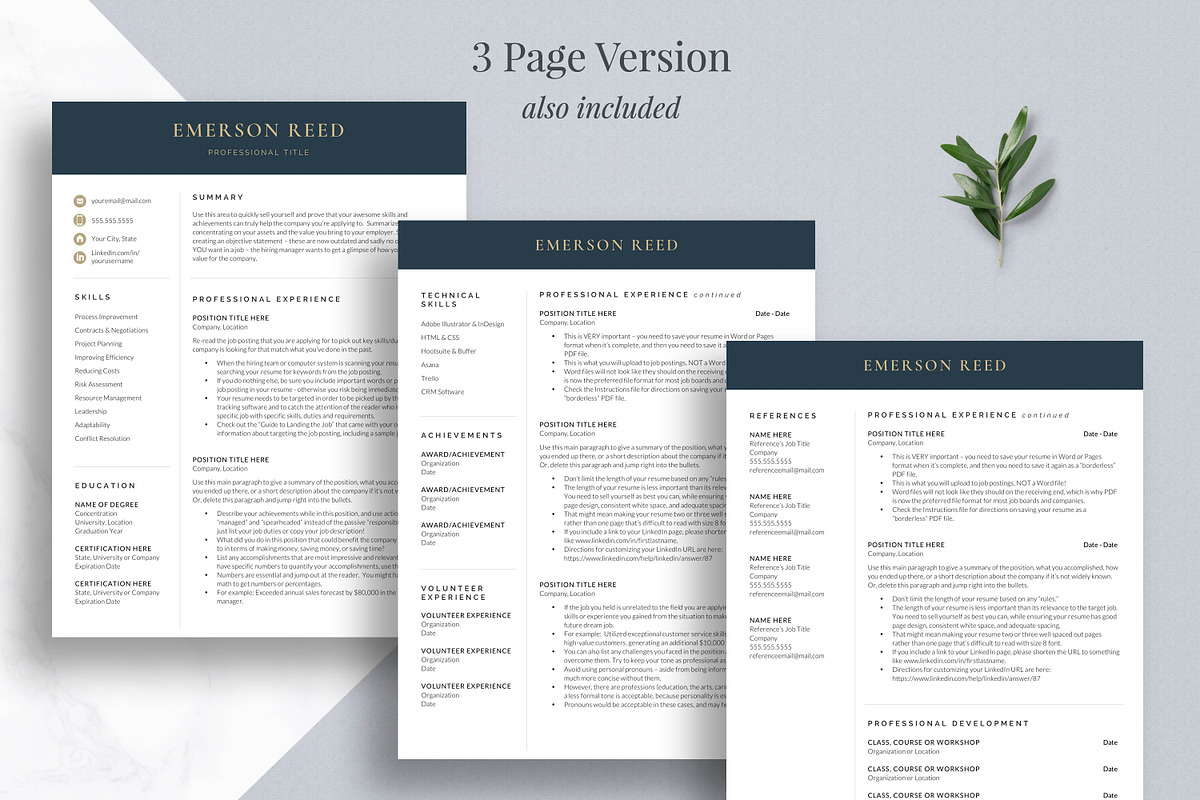 Modern Executive Resume Template, a Resume Template by Get Landed (Photo 3 of 10)