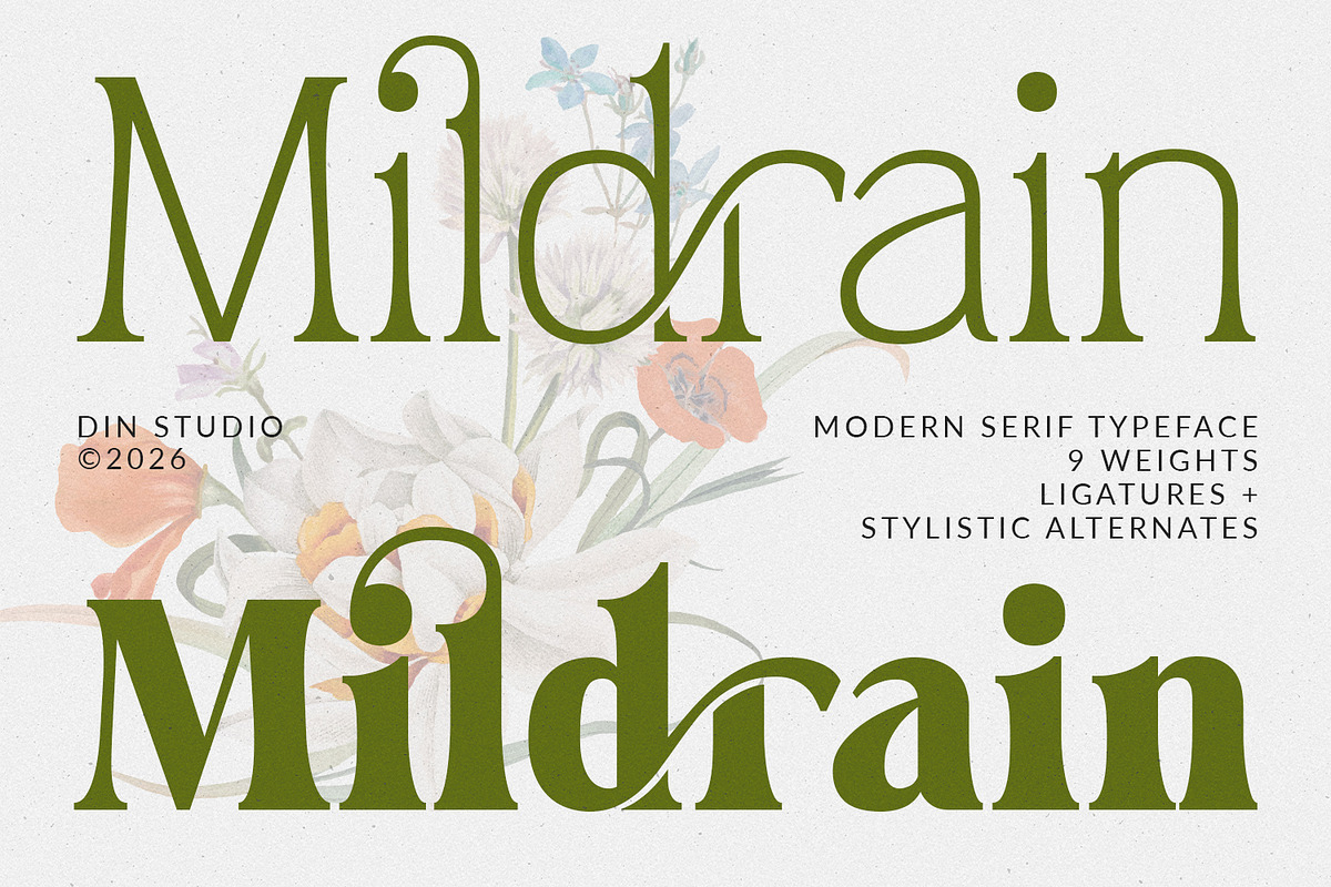 Mildrain, a Serif Font by din-studio.com (Photo 1 of 10)