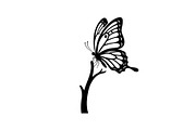 Butterfly Branch SVG Bundle, an Illustration by Creativeshirt (Thumbnail 20 of 31)