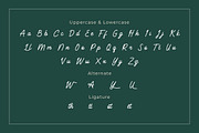 Yamosty - Script Monoline Font, a Script Font by twinstd (Thumbnail 4 of 7)