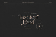 Vegawanty Modern Serif, a Serif Font by Creatype Studio (Thumbnail 4 of 9)