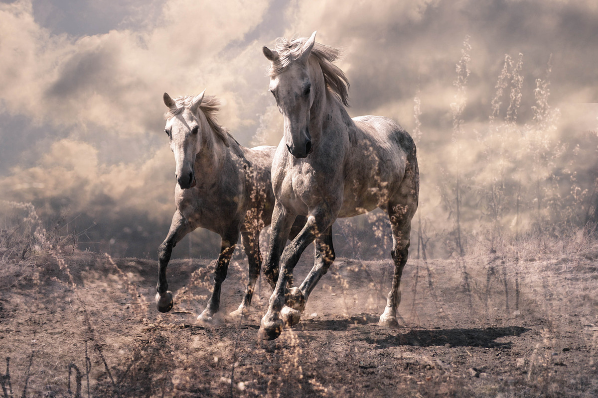 14 Landscape Sensation Presets, a Preset Add-On by Timeless Presets (Photo 12 of 13)