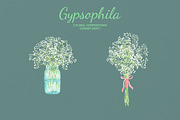 Watercolor Gypsophila Baby's Breath, an Illustration by Corner Croft (Thumbnail 2 of 7)