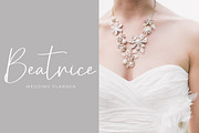 Sofija Elegant Script Font, a Script Font by NTC Graphic (Thumbnail 4 of 9)