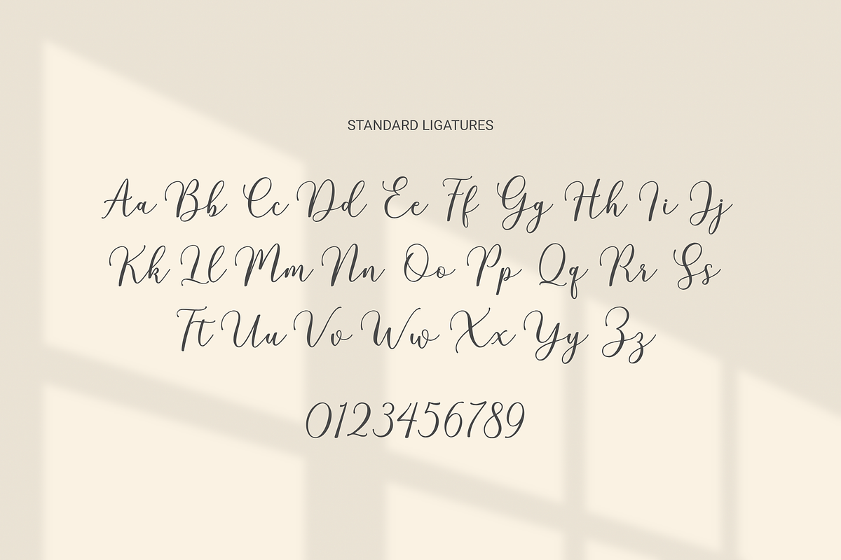 Aphrodite, a Script Font by Gatype (Photo 4 of 15)