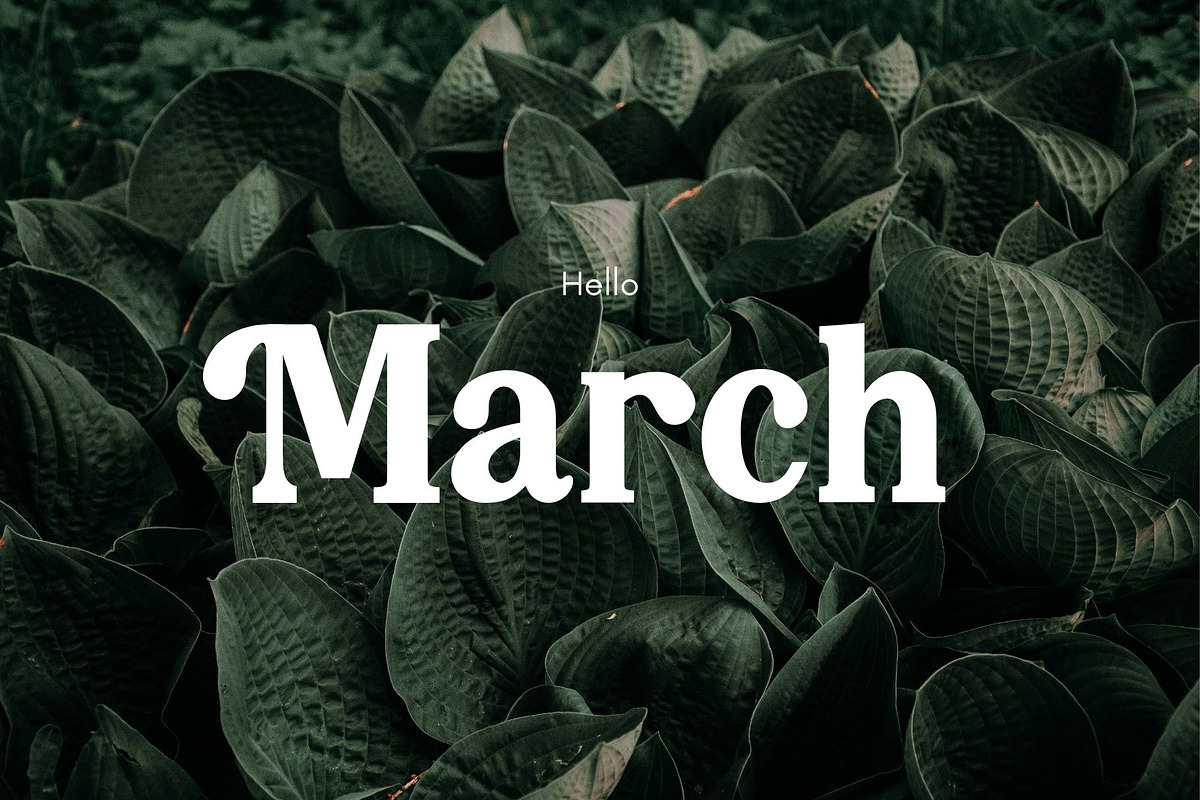 Green Apple, a Serif Font by Aditastudios (Photo 6 of 6)