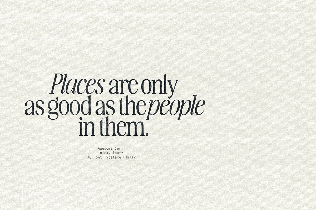 The Awesome Serif Family (32 Fonts), a Serif Font by Nicky Laatz (Photo 26 of 42)