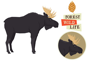 Moose Forest Wildlife set