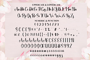 Angelic | Script Font, a Handwritten Font by Scratchones (Thumbnail 7 of 9)