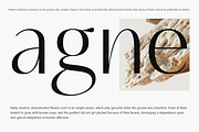 Neue Mylon - 21 Fonts, a Sans Serif Font by Nasir Udin (Thumbnail 7 of 14)