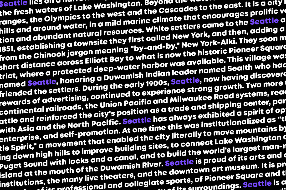 Seattle sans - Elegant sans serif preview 3