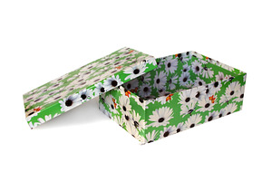Nice green box isolated, a Photo by saiko3p