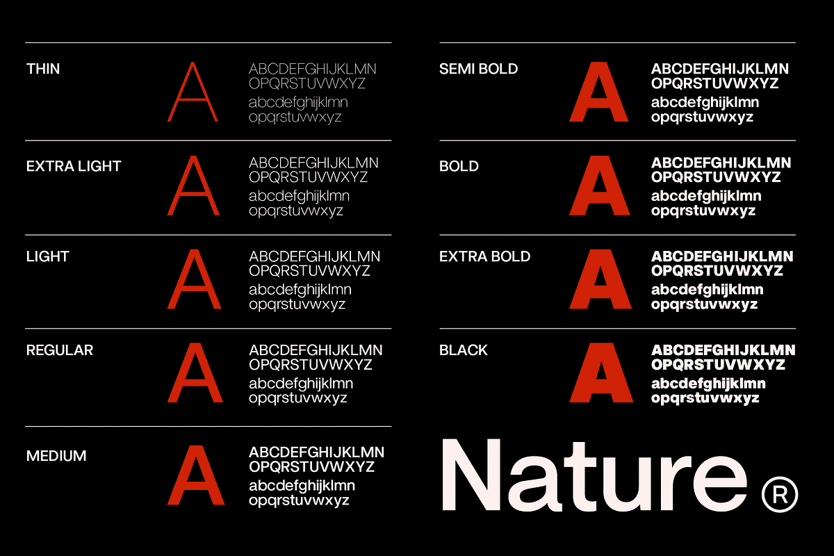 ZT Nature Sans - 18 Font & Variable, a Sans Serif Font by zelow type (Photo 6 of 11)