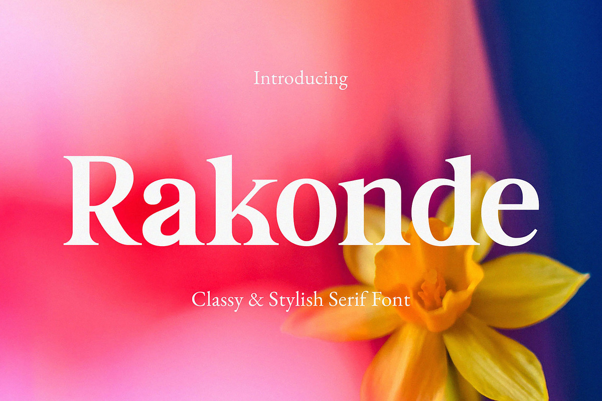 Rakonde - Classy & Stylish Serif, a Serif Font by TypeLogue (Photo 1 of 5)