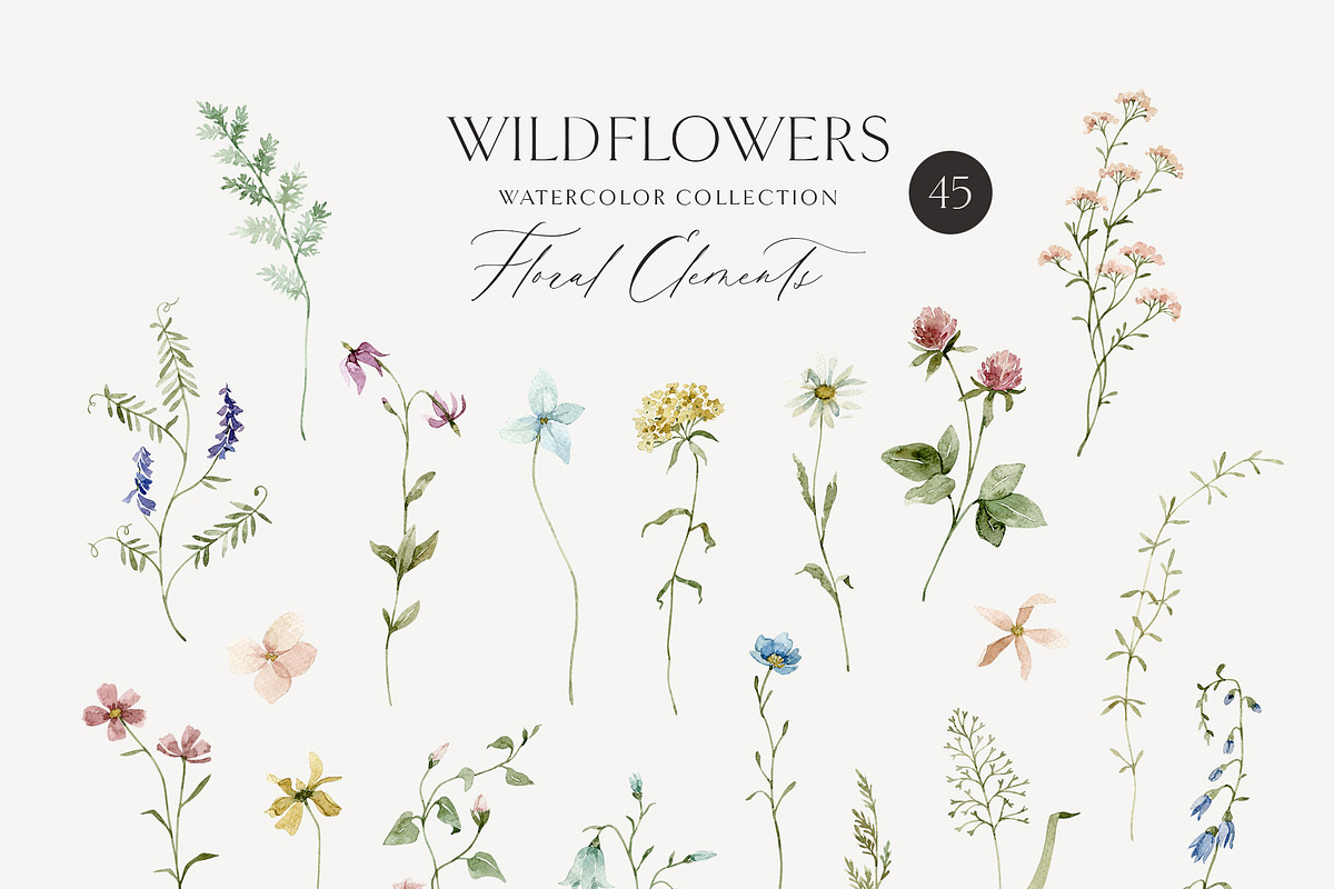 WILDFLOWERS delicate floral clipart, a Person Illustration by long summer (Photo 8 of 12)
