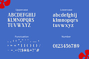 Locanara Display Serif Font, a Serif Font by Rasio Studio (Thumbnail 2 of 7)