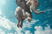116 Flying animals, an Animal Photo by Handmadefont (Thumbnail 57 of 119)
