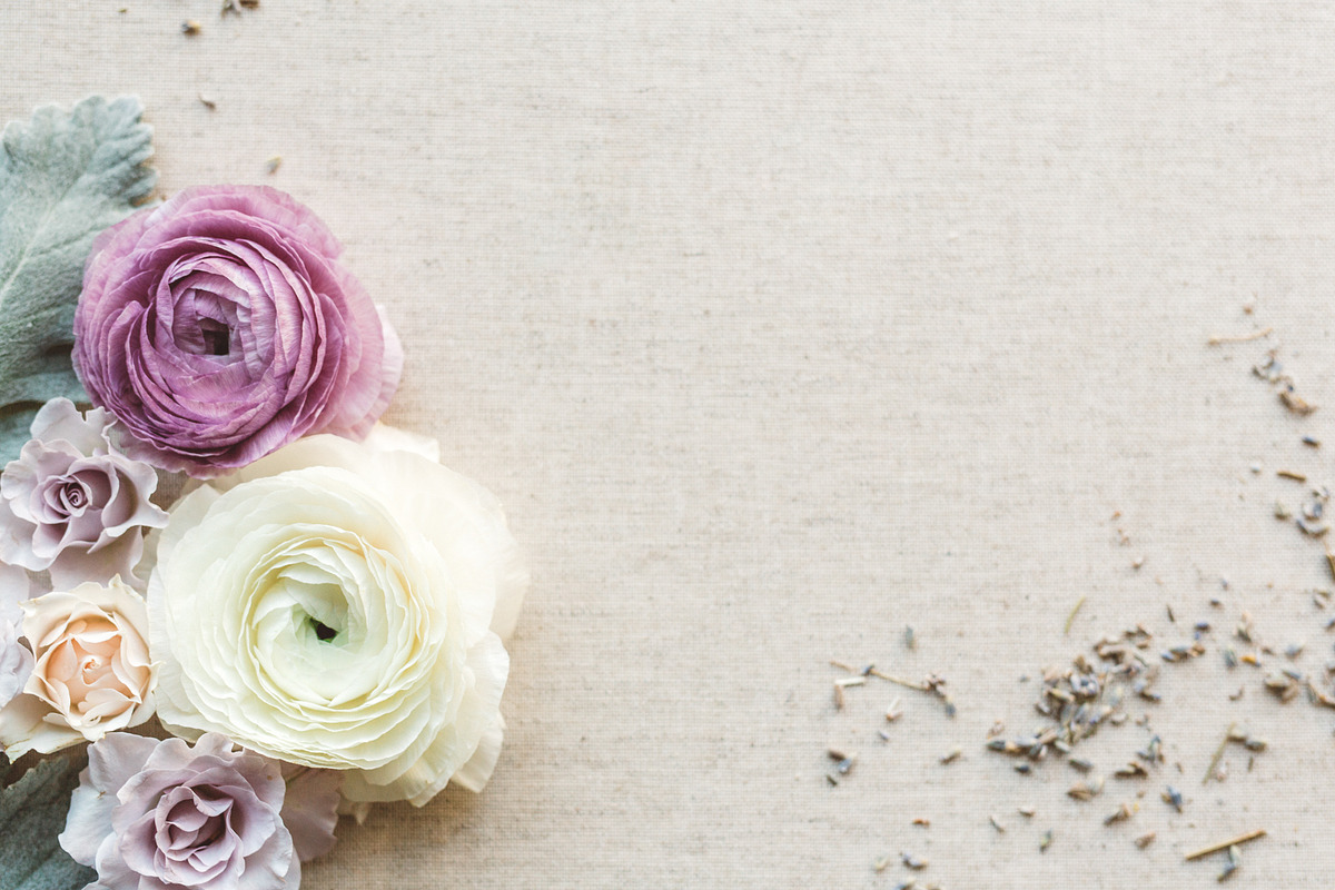 Purple Ranunculus styled stock photo, a Product Mockup by Anna Delores
