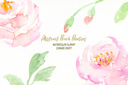 Peach Peony Illustration, an Illustration by Corner Croft (Thumbnail 4 of 4)