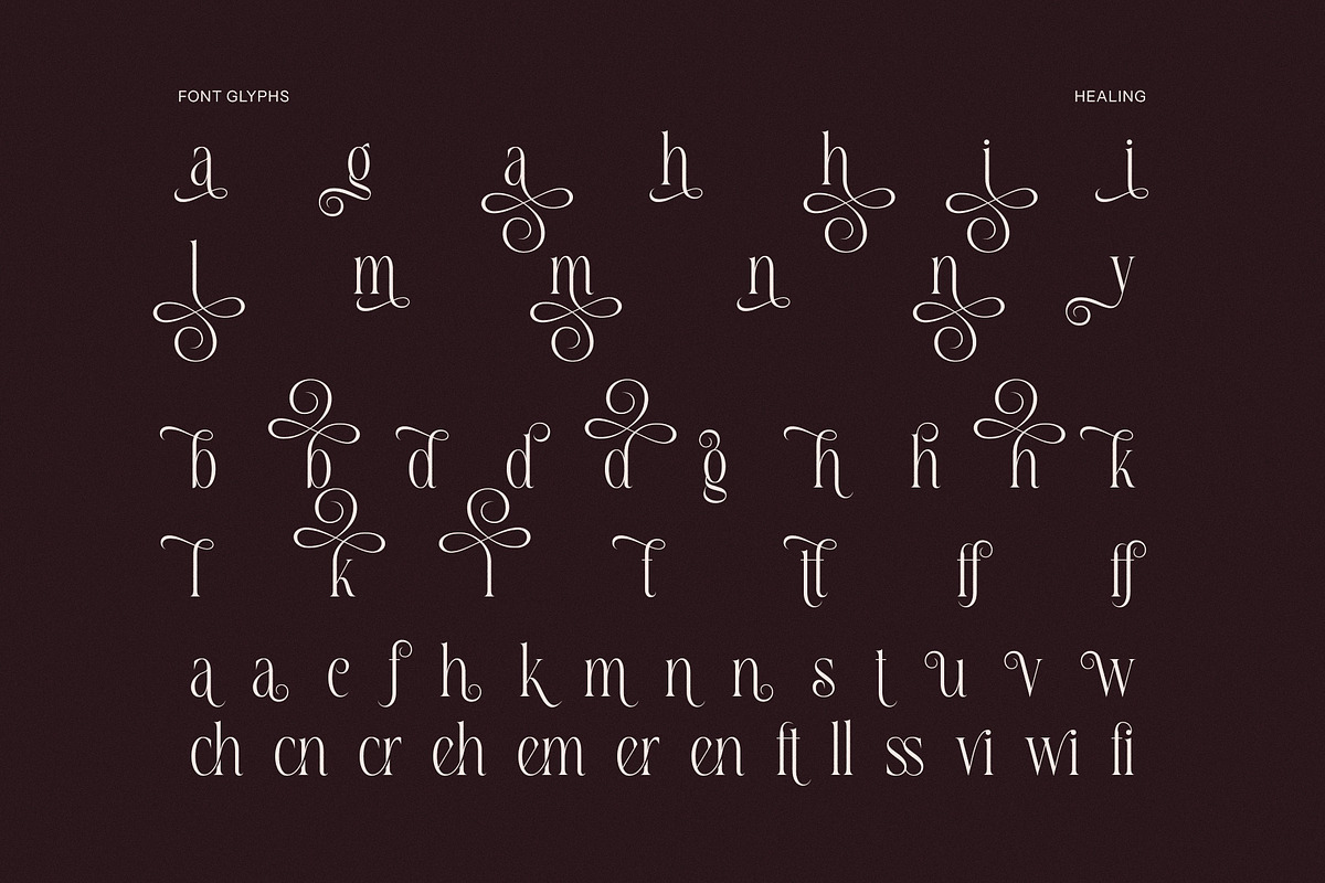 Healing Elegant Serif Typeface Font, a Serif Font by Dylla_studio (Photo 15 of 15)