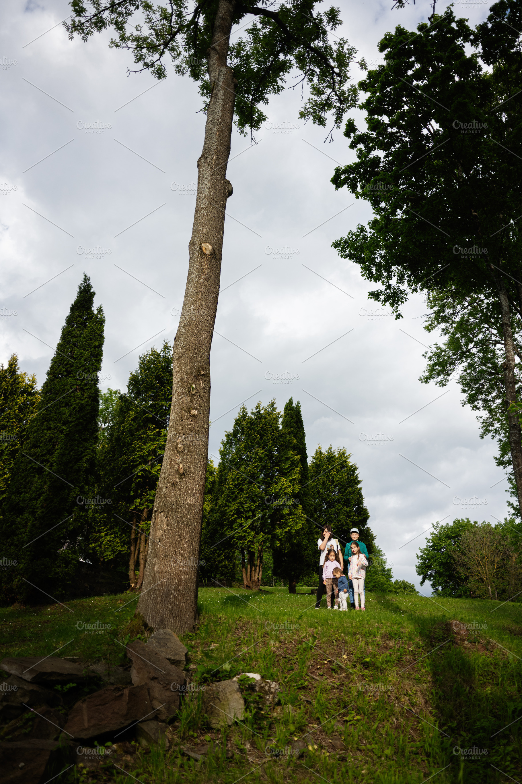 Family standing together outdoors amidst tall trees and lush greenery under clo, a Person Photo by AS photostudio