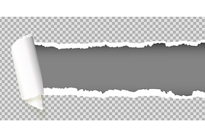 Torn paper roll background. Ripped, an Illustration by Stock-Smart-Start