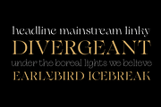 Erotique - 10 fonts, a Serif Font by Zetafonts (Thumbnail 3 of 14)