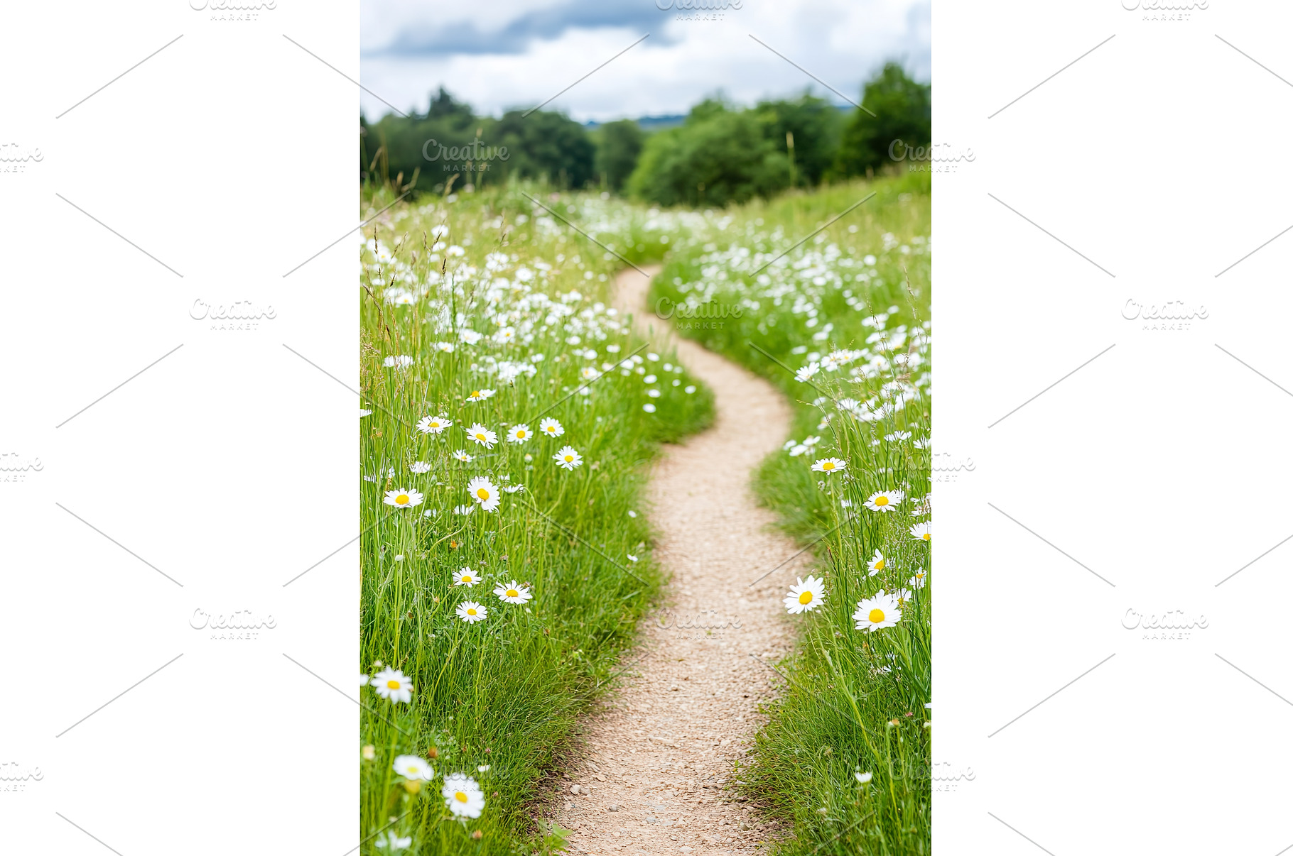 Winding Path Through a Meadow of, a Nature Photo by Lermont51