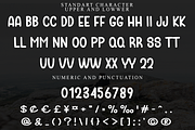 Berry, a Script Font by InermediaSTUDIO (Thumbnail 5 of 7)