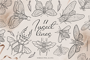 Insects Clipart - Black Line, PNG, an Illustration by Siriliadka Dreams (Thumbnail 1 of 9)