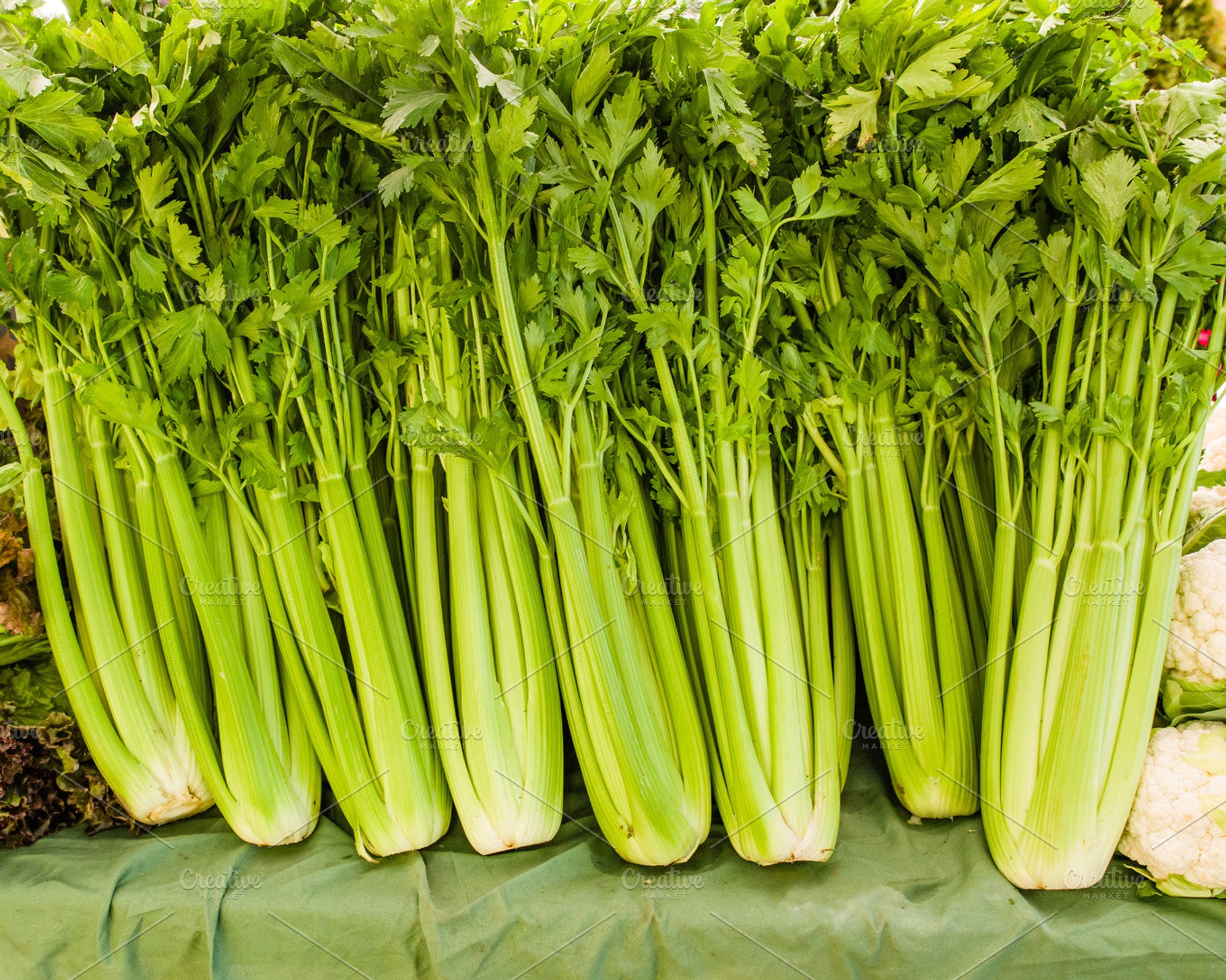 Green celery at the market, a Food & Drink Photo by Zigzag Mountain Art