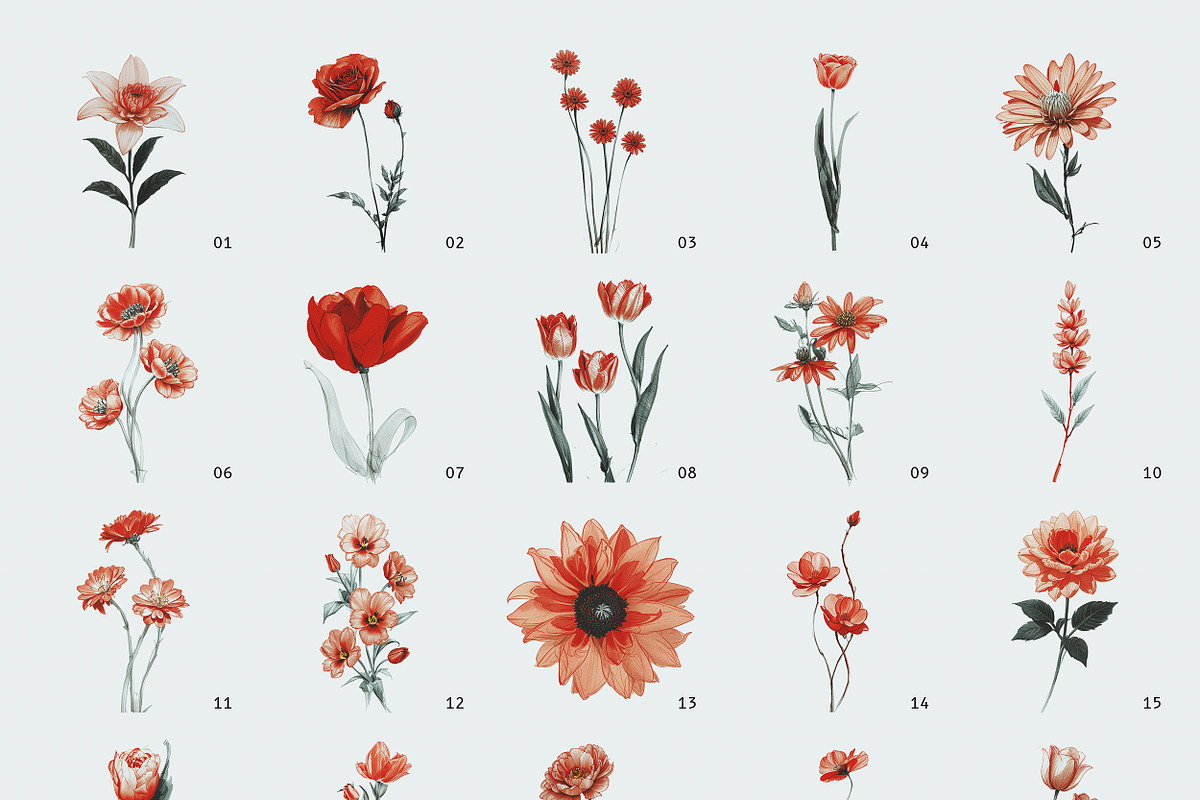 Crimson Bloom: Floral Design Kit, a Pattern Graphic by Megan Aili Designs (Photo 9 of 12)