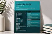 MODERN RESUME TEMPLATE (R8), a Resume Template by dulchaer29 (Thumbnail 1 of 4)