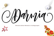 Darmia, a Script Font by yanindesign (Thumbnail 1 of 10)