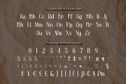 Radifie - Classic Serif Font, a Serif Font by Rishsketch (Thumbnail 10 of 13)