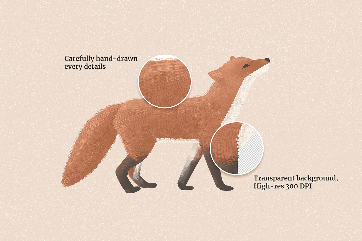 Arctic Animal, Botanical & Landscape, an Animal Illustration by imajineko (Photo 5 of 11)