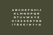 Salt Lake & Extra, a Handwritten Font by Davide Bassu (Thumbnail 8 of 8)