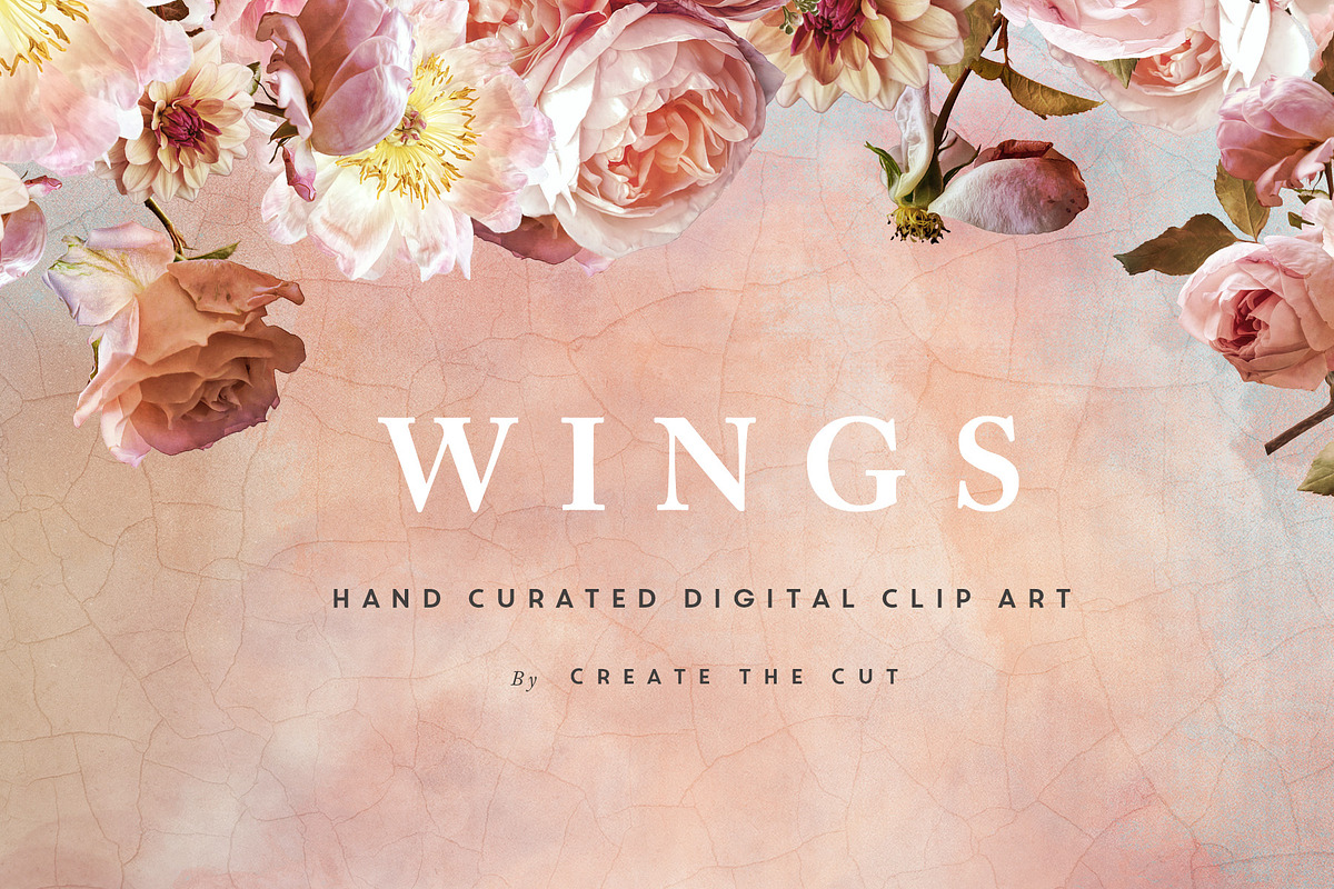 Digital Flower Clip Art - Wings, an Illustration by Create The Cut (Photo 8 of 10)