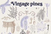 Elegant Pine Vintage Vector Set, a Decorative Illustration by Beauty Drops (Thumbnail 2 of 9)